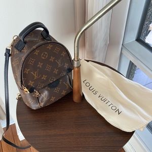 Louis Vuitton palm springs mini bag